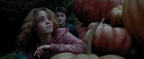 PdA-Potterish_7094.jpg