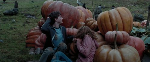 Click to view full size image
==============
PdA-Potterish_7097.jpg PdA-Potterish_7097.jpg
