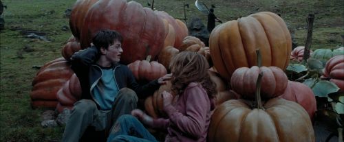 Click to view full size image
==============
PdA-Potterish_7099.jpg PdA-Potterish_7099.jpg