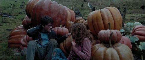 PdA-Potterish_7100.jpg