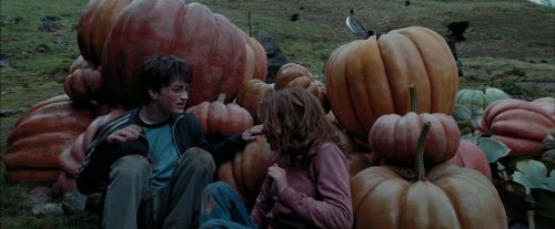 PdA-Potterish_7101.jpg