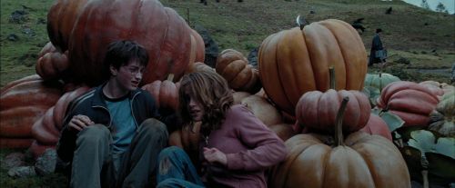 PdA-Potterish_7102.jpg