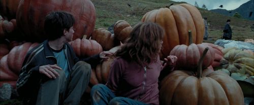 Click to view full size image
==============
PdA-Potterish_7105.jpg PdA-Potterish_7105.jpg