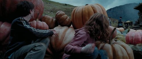 Click to view full size image
==============
PdA-Potterish_7107.jpg PdA-Potterish_7107.jpg