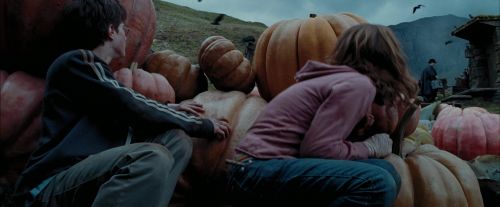 Click to view full size image
==============
PdA-Potterish_7108.jpg PdA-Potterish_7108.jpg