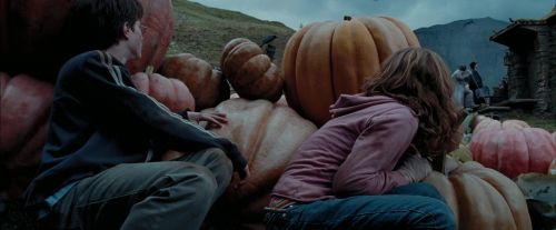 Click to view full size image
==============
PdA-Potterish_7109.jpg PdA-Potterish_7109.jpg