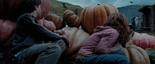 Click to view full size image
==============
PdA-Potterish_7110.jpg PdA-Potterish_7110.jpg