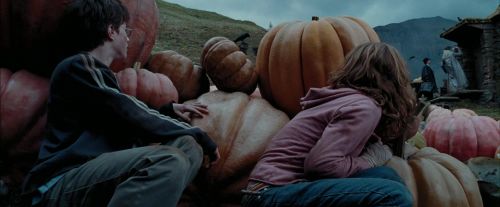 Click to view full size image
==============
PdA-Potterish_7111.jpg PdA-Potterish_7111.jpg