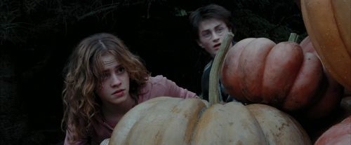PdA-Potterish_7112.jpg