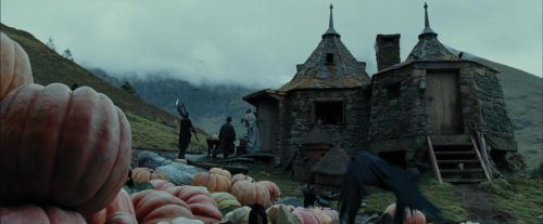 Click to view full size image
==============
PdA-Potterish_7115.jpg PdA-Potterish_7115.jpg
