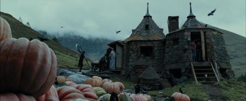 Click to view full size image
==============
PdA-Potterish_7119.jpg PdA-Potterish_7119.jpg