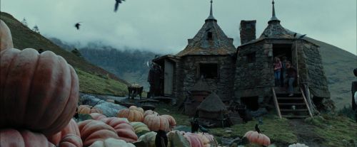 PdA-Potterish_7124.jpg