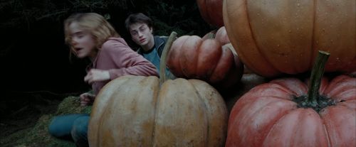PdA-Potterish_7125.jpg