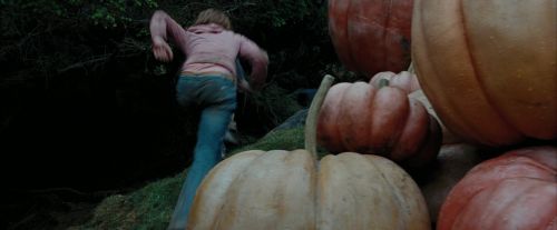 PdA-Potterish_7127.jpg