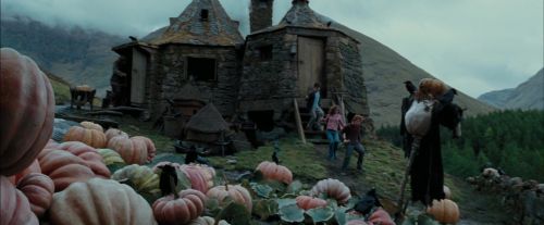 PdA-Potterish_7128.jpg