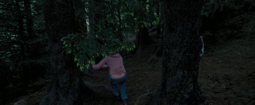 PdA-Potterish_7134.jpg