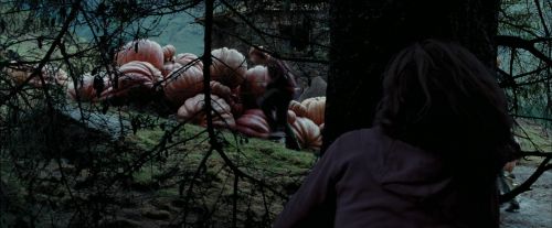 PdA-Potterish_7135.jpg