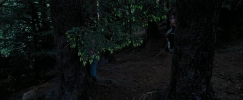 PdA-Potterish_7139.jpg
