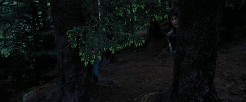 Click to view full size image
==============
PdA-Potterish_7140.jpg PdA-Potterish_7140.jpg
