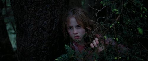 Click to view full size image
==============
PdA-Potterish_7145.jpg PdA-Potterish_7145.jpg