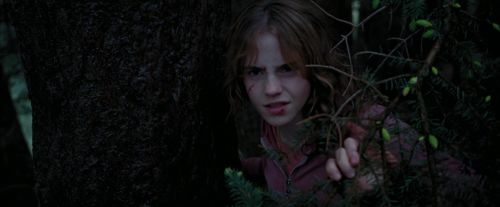 Click to view full size image
==============
PdA-Potterish_7147.jpg PdA-Potterish_7147.jpg