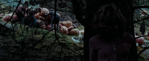 Click to view full size image
==============
PdA-Potterish_7149.jpg PdA-Potterish_7149.jpg