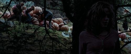 PdA-Potterish_7150.jpg