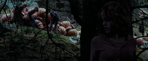 PdA-Potterish_7151.jpg
