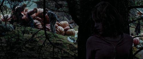 PdA-Potterish_7152.jpg