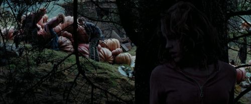 Click to view full size image
==============
PdA-Potterish_7153.jpg PdA-Potterish_7153.jpg