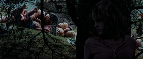 Click to view full size image
==============
PdA-Potterish_7154.jpg PdA-Potterish_7154.jpg