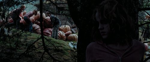 PdA-Potterish_7156.jpg