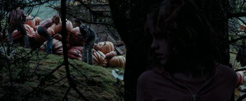 PdA-Potterish_7157.jpg