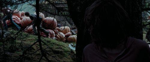 Click to view full size image
==============
PdA-Potterish_7158.jpg PdA-Potterish_7158.jpg