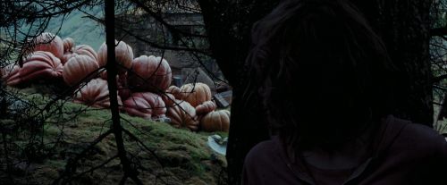 Click to view full size image
==============
PdA-Potterish_7159.jpg PdA-Potterish_7159.jpg