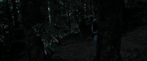 Click to view full size image
==============
PdA-Potterish_7160.jpg PdA-Potterish_7160.jpg