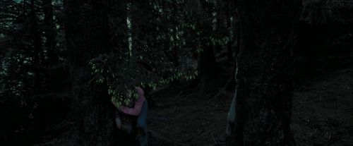 PdA-Potterish_7161.jpg