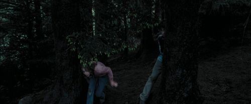 PdA-Potterish_7162.jpg