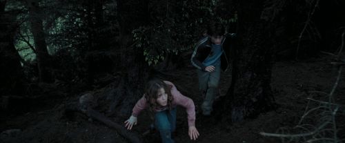 PdA-Potterish_7164.jpg