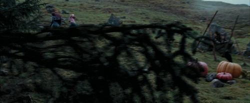 Click to view full size image
==============
PdA-Potterish_7166.jpg PdA-Potterish_7166.jpg