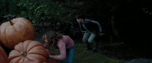PdA-Potterish_7169.jpg