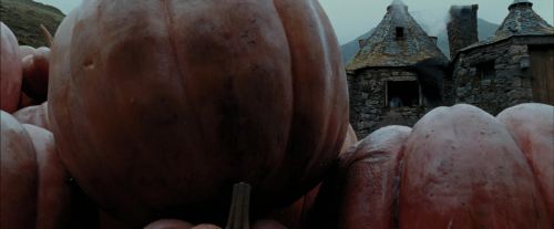 PdA-Potterish_7172.jpg