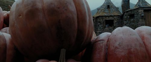 Click to view full size image
==============
PdA-Potterish_7173.jpg PdA-Potterish_7173.jpg