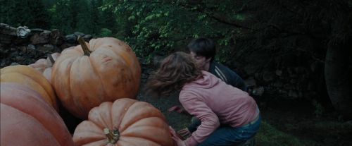 PdA-Potterish_7174.jpg