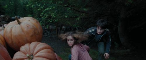 PdA-Potterish_7175.jpg