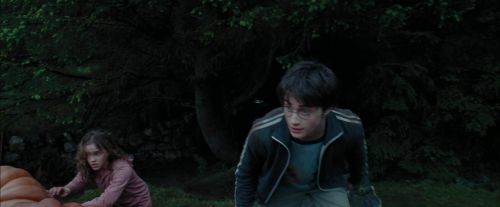 Click to view full size image
==============
PdA-Potterish_7177.jpg PdA-Potterish_7177.jpg