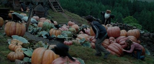 Click to view full size image
==============
PdA-Potterish_7178.jpg PdA-Potterish_7178.jpg