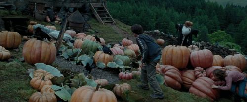 PdA-Potterish_7179.jpg