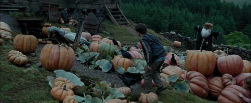 PdA-Potterish_7180.jpg
