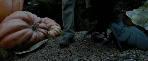 Click to view full size image
==============
PdA-Potterish_7183.jpg PdA-Potterish_7183.jpg